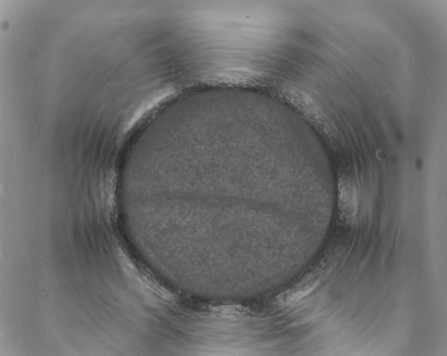 X0000088030396200705251122