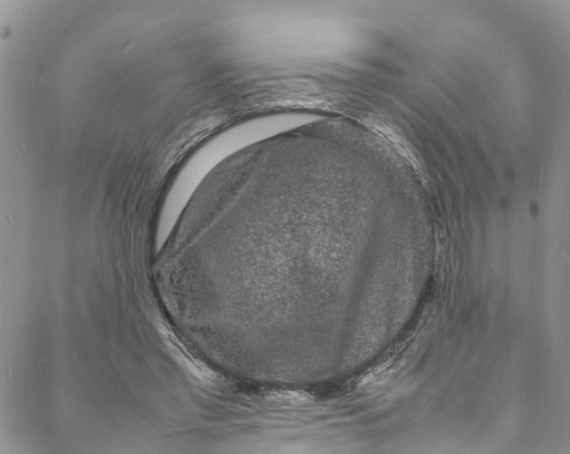 X0000088030397200705251122