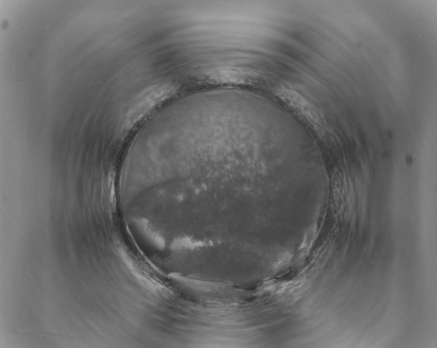 X0000088030398200705251122