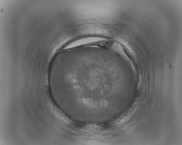 X0000088030399200705251121