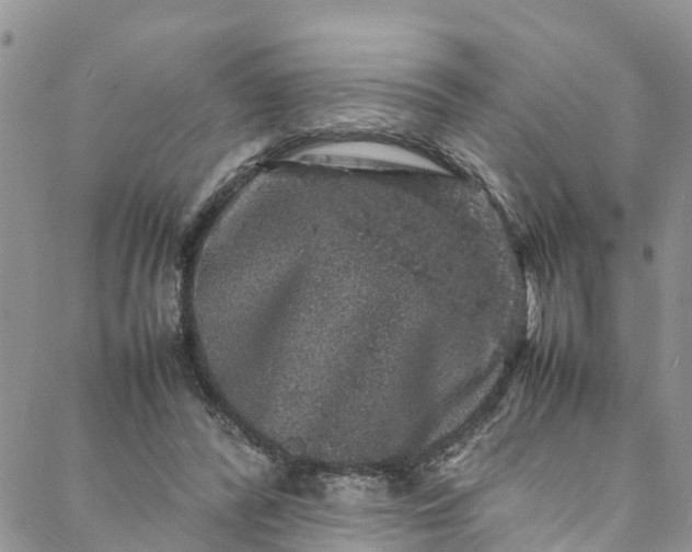 X0000088030400200705251121