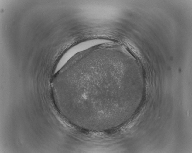 X0000088030401200705251121