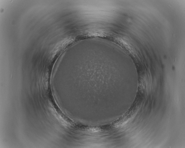 X0000088030402200705251121