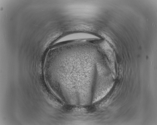 X0000088030403200705251121