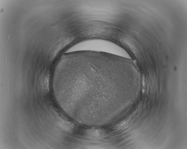 X0000088030404200705251121