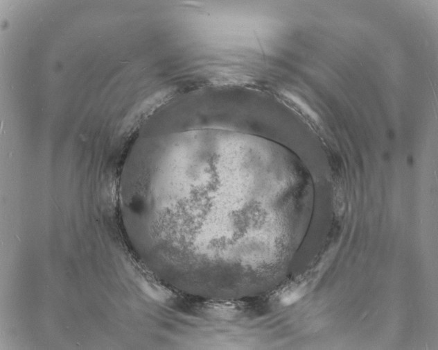 X0000088030405200705251121