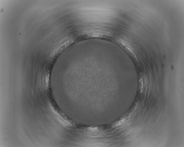 X0000088030406200705251121