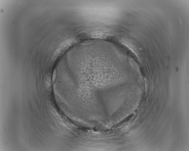 X0000088030407200705251121