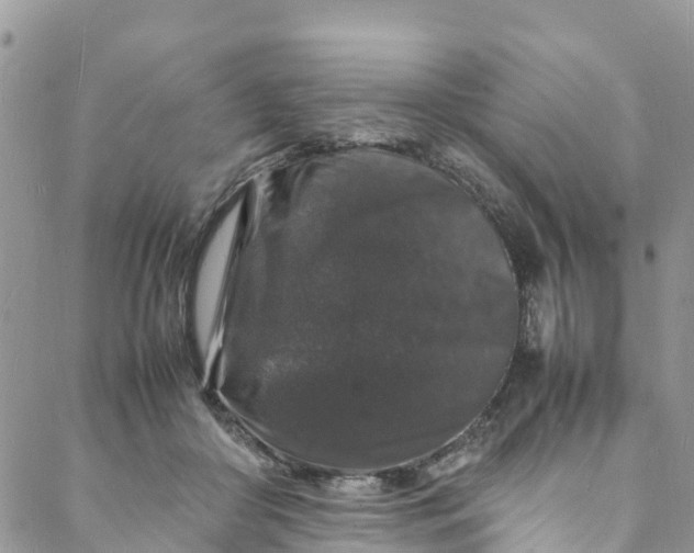 X0000088030410200705251121