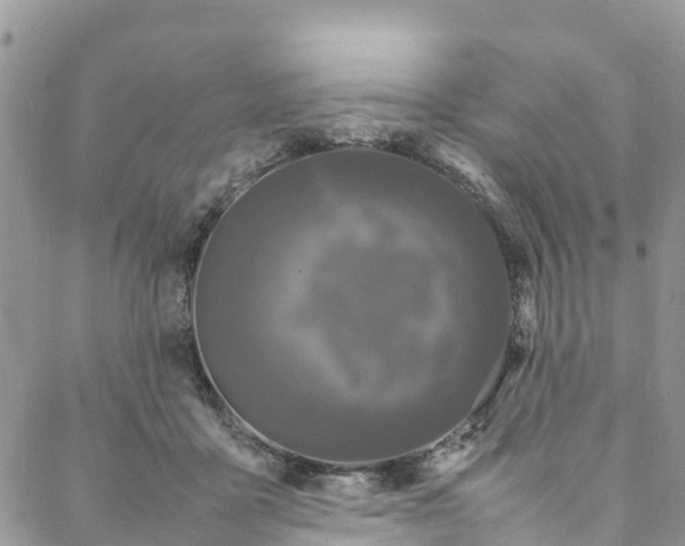 X0000088030411200705251121