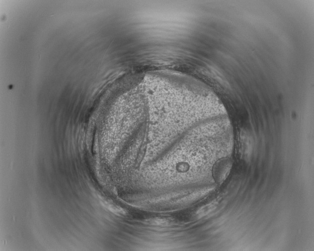 X0000088030412200705251121