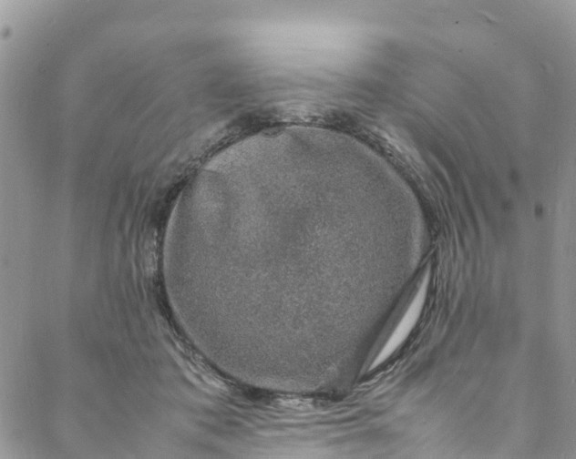 X0000088030413200705251121