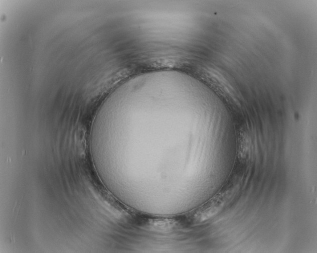 X0000088030414200705251121