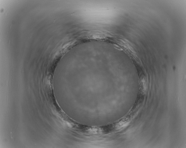 X0000088030415200705251121