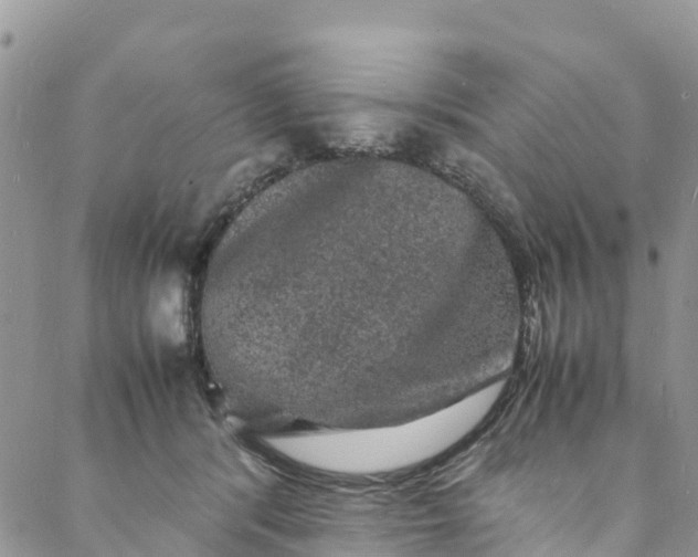 X0000088030416200705251121