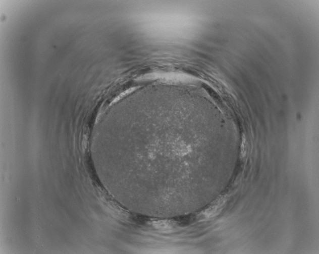 X0000088030417200705251121