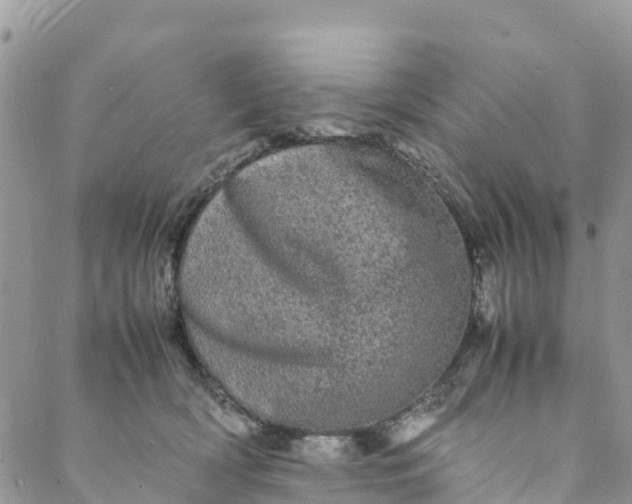 X0000088030418200705251121