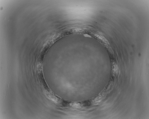 X0000088030419200705251121