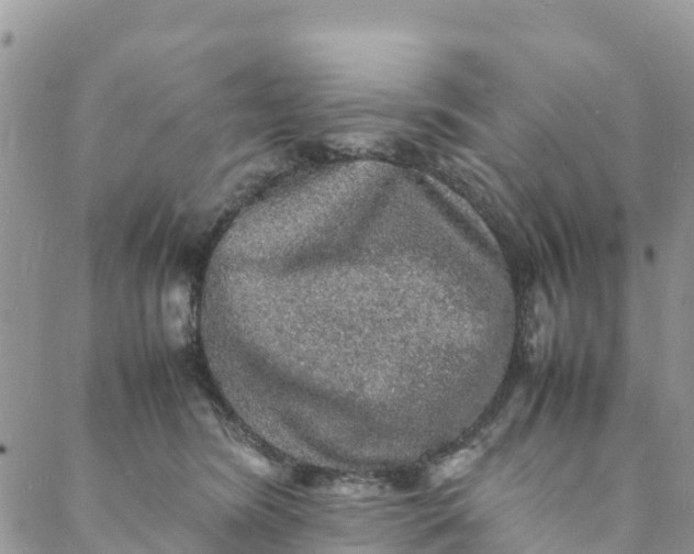 X0000088030420200705251121