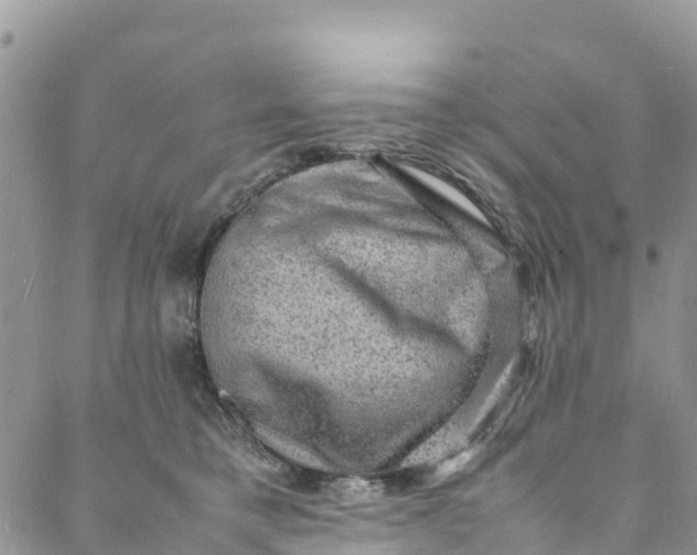 X0000088030421200705251121