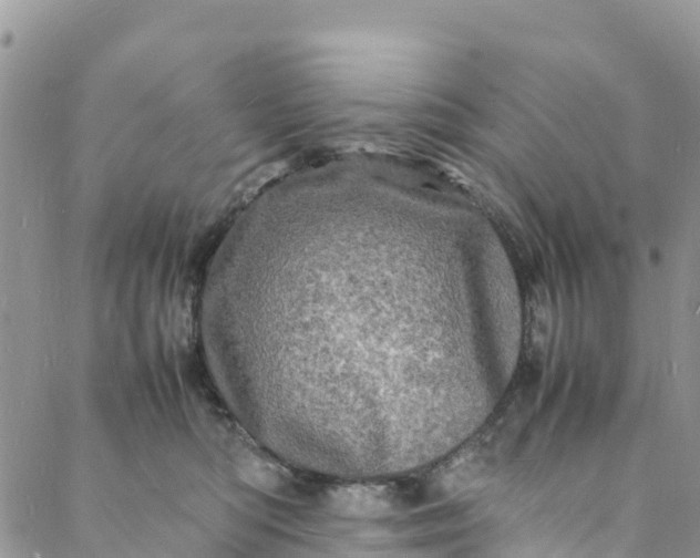 X0000088030422200705251121