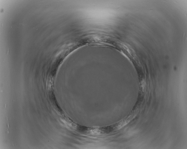 X0000088030423200705251121