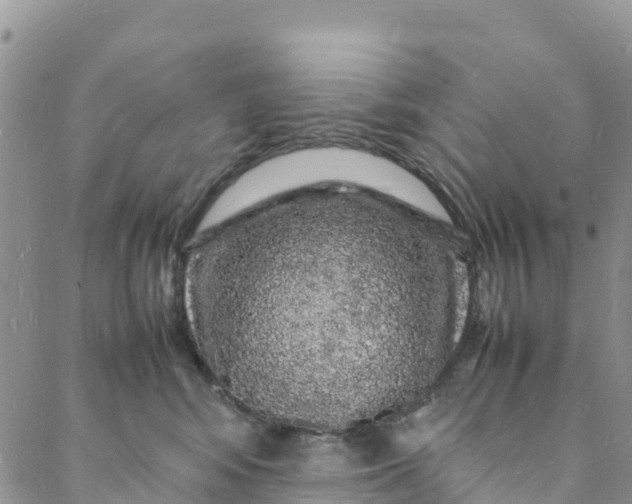 X0000088030424200705251121