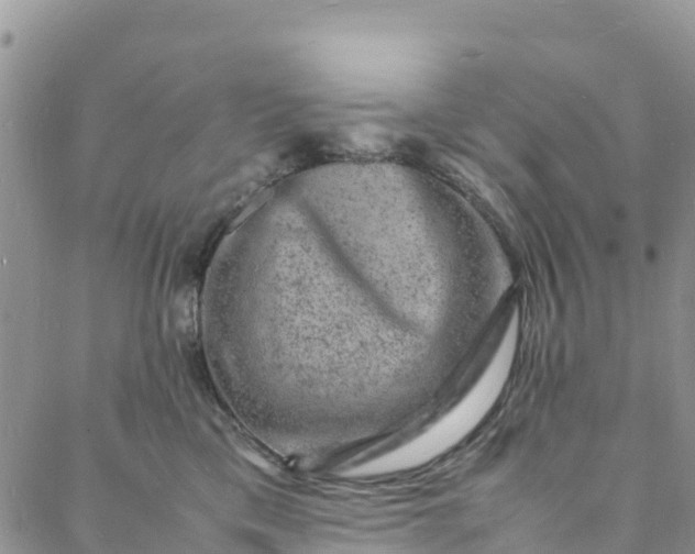 X0000088030425200705251121