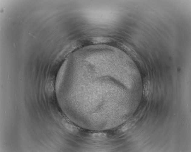 X0000088030426200705251121