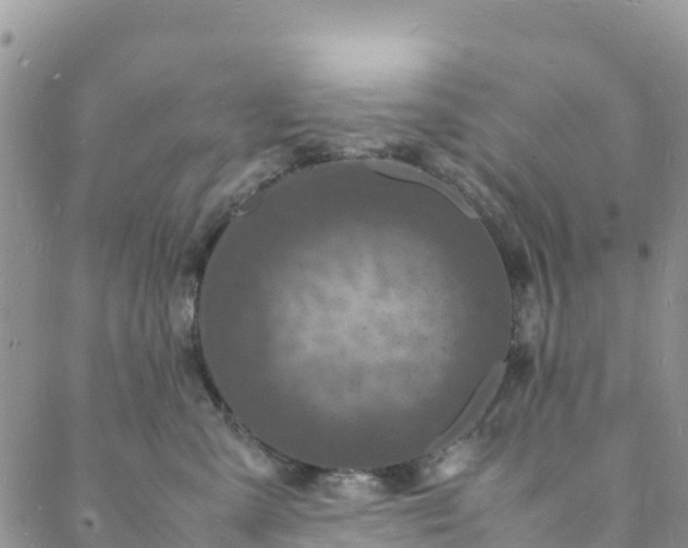 X0000088030427200705251121