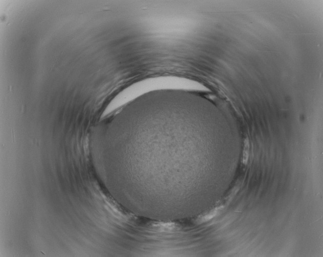 X0000088030428200705251121