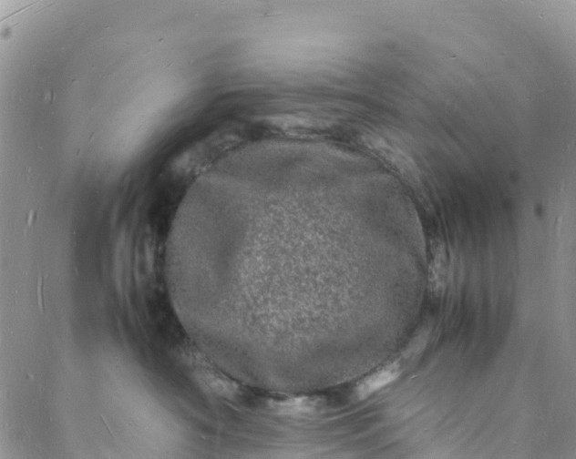 X0000088030430200705251121