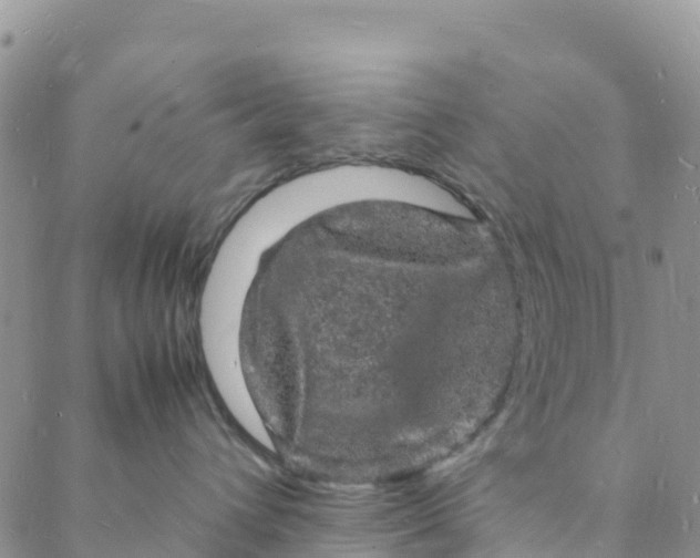 X0000088030432200705251121