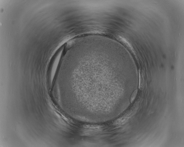 X0000088030435200705251120