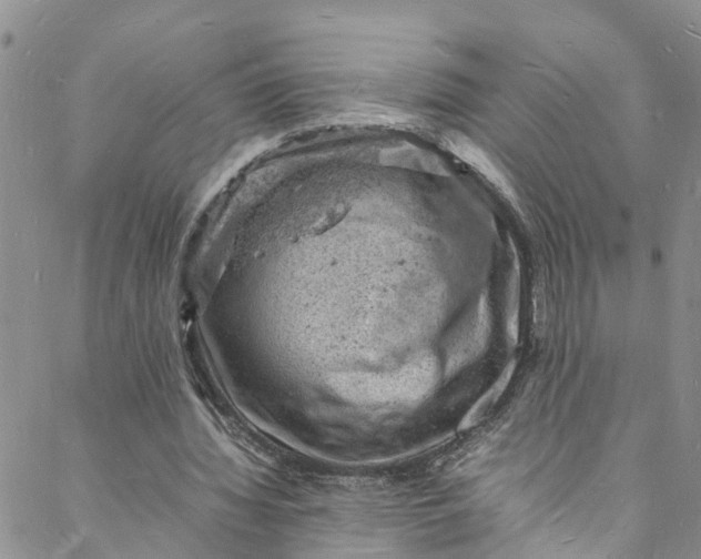 X0000088030436200705251120