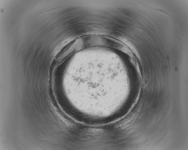 X0000088030437200705251120