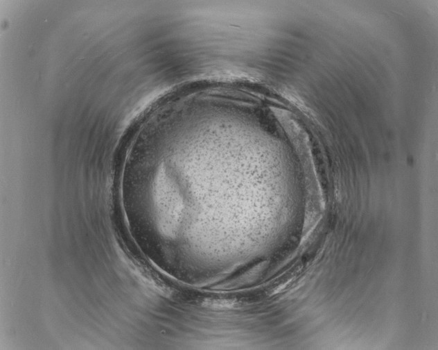 X0000088030440200705251120