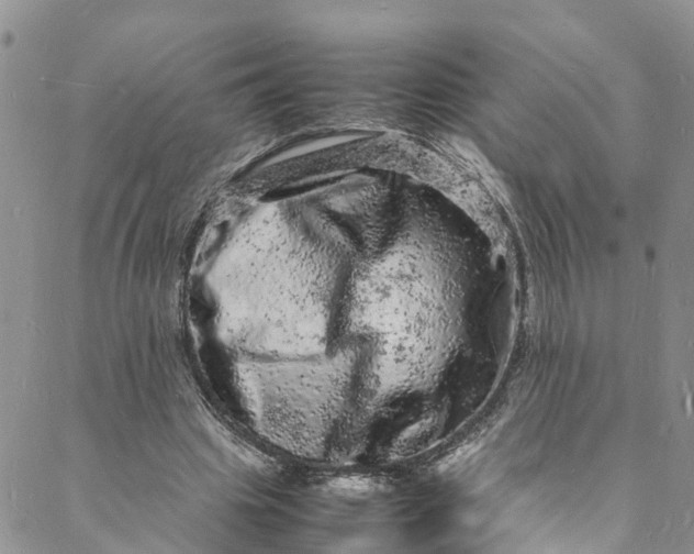 X0000088030441200705251120