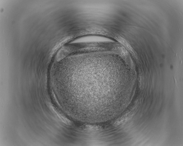 X0000088030442200705251120