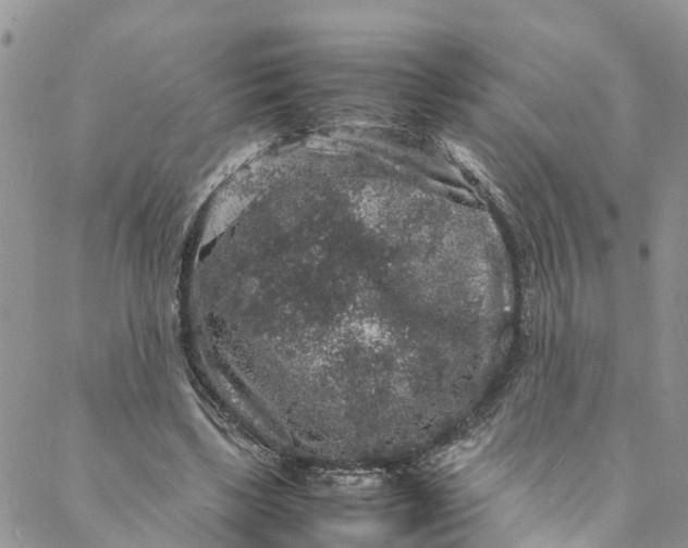 X0000088030443200705251120