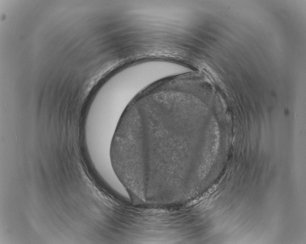 X0000088030444200705251120