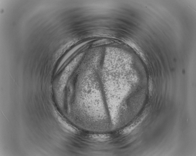 X0000088030445200705251120