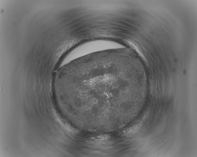 X0000088030447200705251120