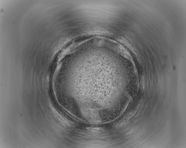 X0000088030448200705251120