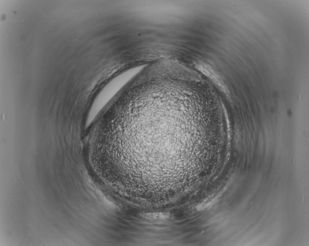 X0000088030449200705251120