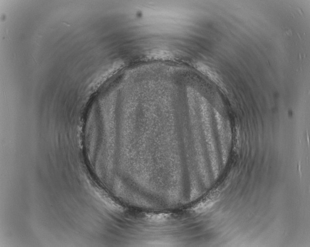 X0000088030450200705251120