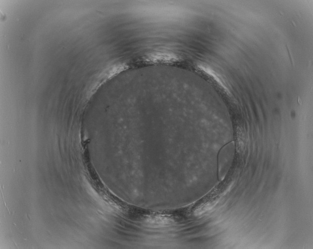 X0000088030451200705251120