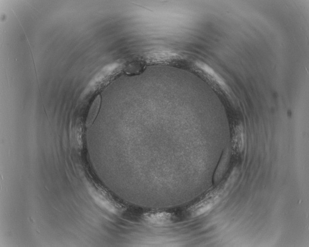 X0000088030452200705251120