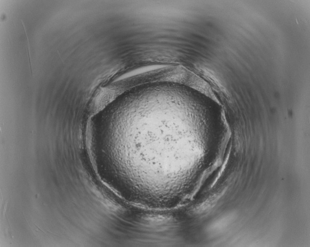 X0000088030453200705251121