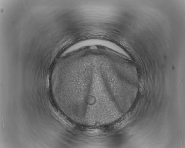 X0000088030454200705251121